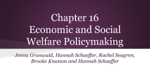 Chapter 16 Economic and Social Welfare Policymaking