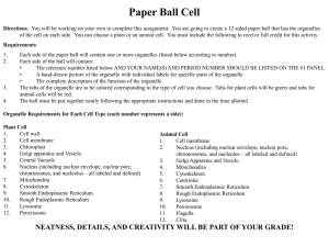 Paper Ball Cell