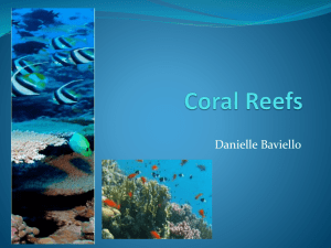 Coral Reefs - Miss Baviello