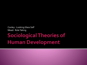 Sociological Theories of Human Development