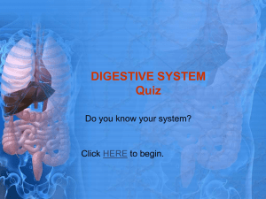 DIGESTIVE SYSTEM Quiz - THE DIGESTIVE SYSTEM