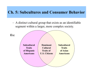 Ch. 5: Subcultures and Consumer Behavior - UAH