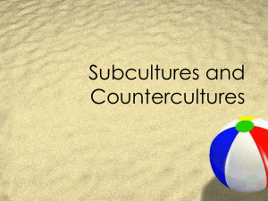 Subcultures and Countercultures