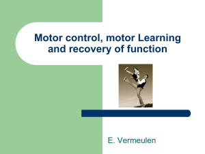 Motor control, motor Learning and recovery of function