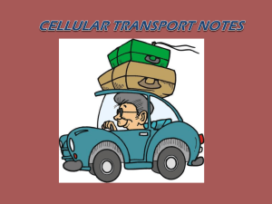 Cell Transport - Gainesville ISD