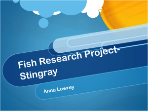 Fish Research Project