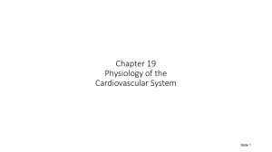 Chapter 19 Physiology of the Cardiovascular System