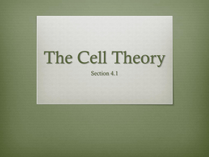 The Cell Theory - St. Paul School
