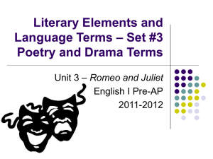 Romeo and Juliet Drama and Literary Terms
