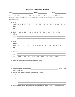 27 Transcription And Translation Summary Worksheet Answers Worksheet Resource Plans Use the codon chart to transcribe and translate the following dna sequence: worksheet resource plans