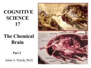 The Chemical Brain - UCSD Cognitive Science