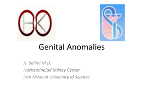 Genital Anomalies