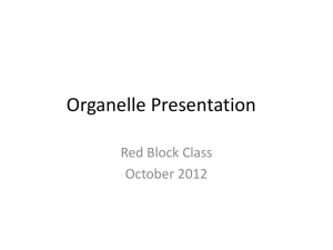 Organelle Presentation - ilovebiology