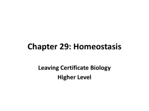 Chapter 29: Homeostasis - leavingcertbiology.net