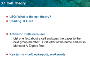 What is the cell theory?