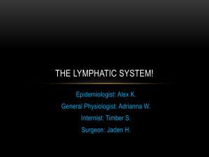 The Lymphatic System!