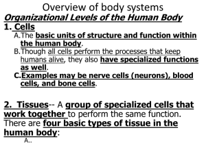 Overview of body systems