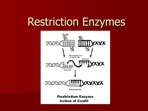 Restriction Enzymes - Solon City Schools