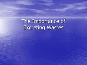 The Importance of Excreting Wastes