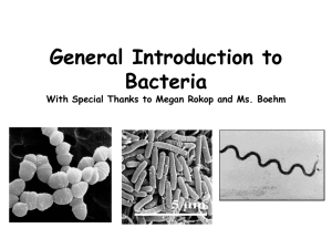 Bacteria+IRP+Introduction 2011