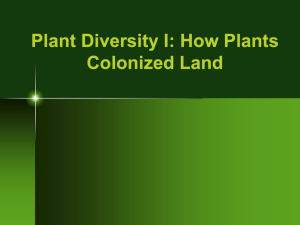Chapter 29: Plant Diversity I: How Plants Colonized Land