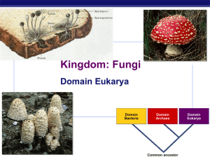Fungi - Biology Junction