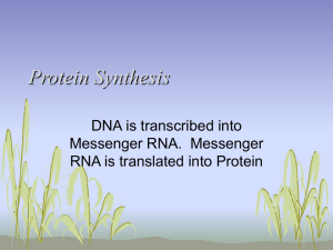 Protein Synthesis - Highland Local Schools