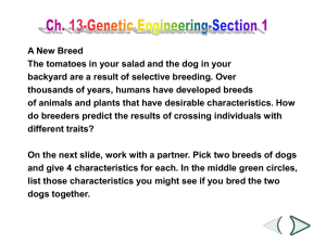 Ch. 13-Genetic Engineering-Section 3