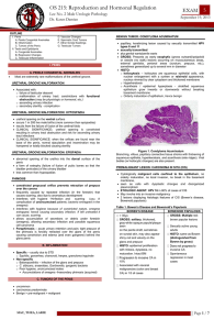 OS 215 Urologic Pathology (Lecture) OS 215: Reproduction and