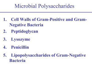 Microbial Polysaccharides