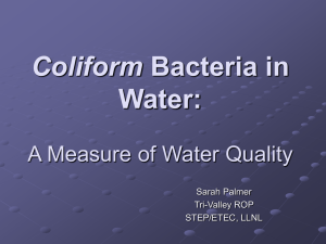 Coliform Bacteria in Water