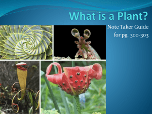 What is a Plant? - local.brookings.k12.sd.us