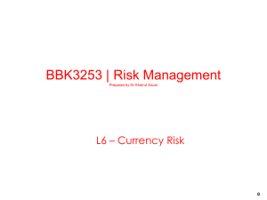RM-L6-Currency Risk