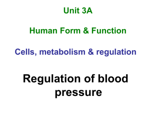 Blood pressure - Human Biology Study Space