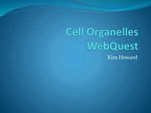 Cell Organelles - kimberlyannehoward
