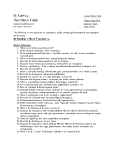 Final Study Guide - Iowa State University