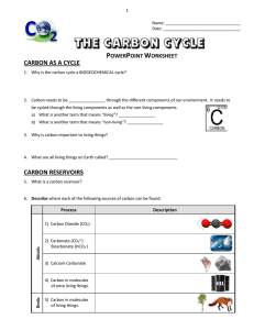 The Carbon Cycle - PowerPoint Worksheet