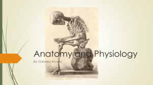 Anatomy and Physiology - U