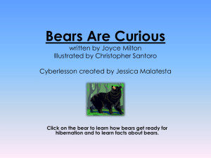 Bears Are Curious written by Joyce Milton Illustrated by Christopher