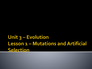 Unit 3 * Evolution Lesson 1 * Mutations and Artificial Selection