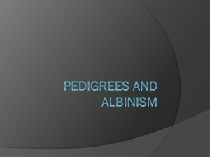 Pedigrees and Albanism