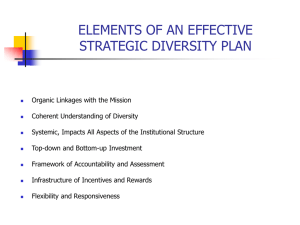 elements of an effective diversity plan