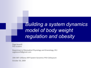 Building a system dynamics model of body weight regulation and