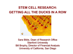 Stem Cell Research - Financial Analysis Office