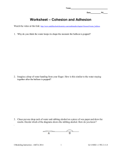 Worksheet – Cohesion and Adhesion