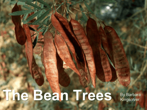 The Bean Trees By: Barbara Kingsolver
