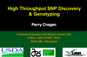 High Throughput SNP Discovery & Genotyping