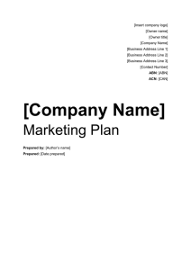 the marketing plan template