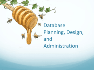 Stages of the Database System Development Lifecycle