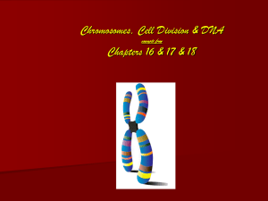DNA and the Chromosome